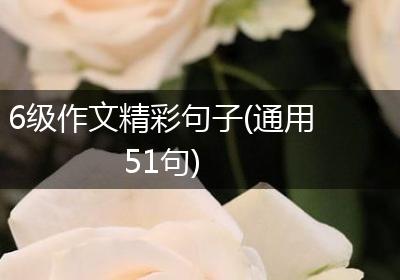 6级作文精彩句子(通用51句)