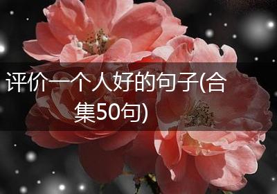 评价一个人好的句子(合集50句)