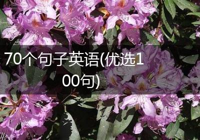 70个句子英语(优选100句)