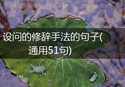 设问的修辞手法的句子(通用51句)