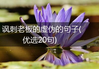 讽刺老板的虚伪的句子(优选20句)