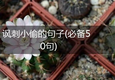 讽刺小偷的句子(必备50句)
