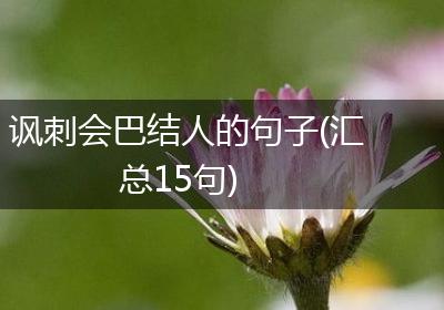讽刺会巴结人的句子(汇总15句)