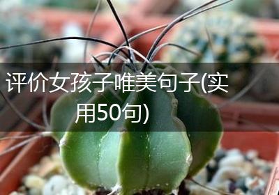 评价女孩子唯美句子(实用50句)