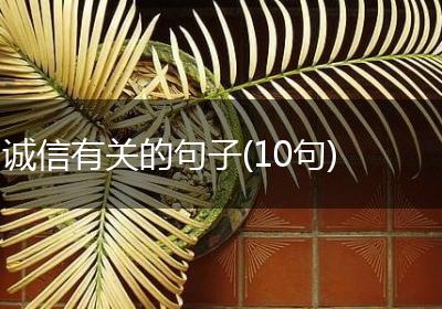 诚信有关的句子(10句)