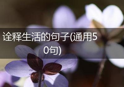 诠释生活的句子(通用50句)