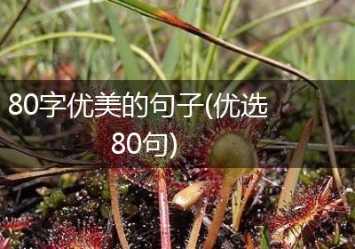 80字优美的句子(优选80句)