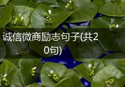 诚信微商励志句子(共20句)