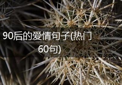90后的爱情句子(热门60句)