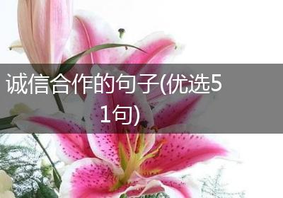 诚信合作的句子(优选51句)