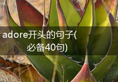 adore开头的句子(必备40句)