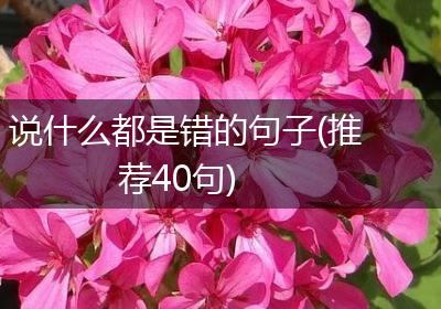 说什么都是错的句子(推荐40句)