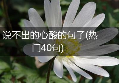 说不出的心酸的句子(热门40句)