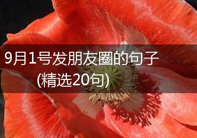 9月1号发朋友圈的句子(精选20句)