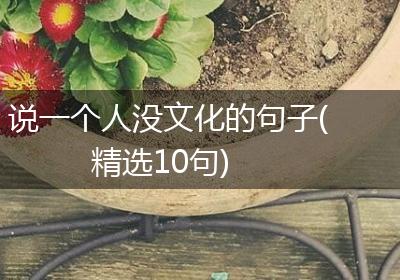 说一个人没文化的句子(精选10句)