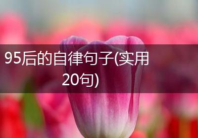 95后的自律句子(实用20句)