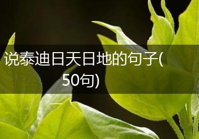 说泰迪日天日地的句子(50句)
