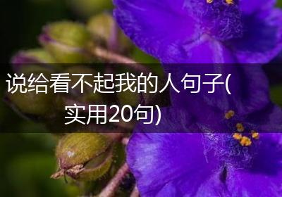 说给看不起我的人句子(实用20句)