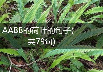 AABB的荷叶的句子(共79句)