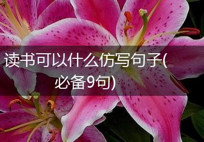 读书可以什么仿写句子(必备9句)