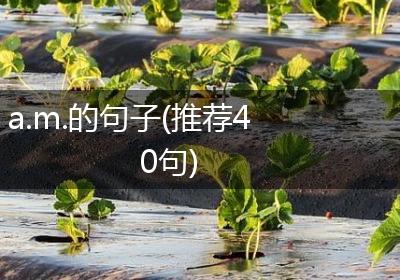 a.m.的句子(推荐40句)