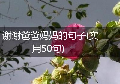 谢谢爸爸妈妈的句子(实用50句)