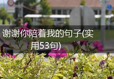 谢谢你陪着我的句子(实用53句)
