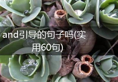 and引导的句子吗(实用60句)