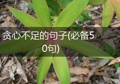 贪心不足的句子(必备50句)