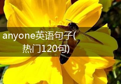 anyone英语句子(热门120句)