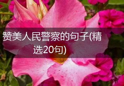 赞美人民警察的句子(精选20句)