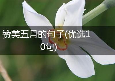 赞美五月的句子(优选10句)