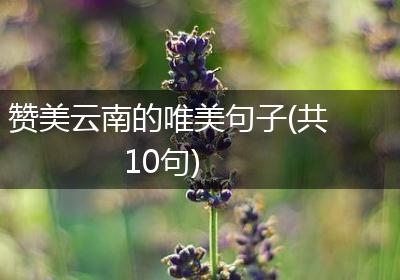 赞美云南的唯美句子(共10句)