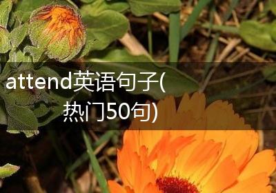 attend英语句子(热门50句)