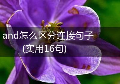 and怎么区分连接句子(实用16句)