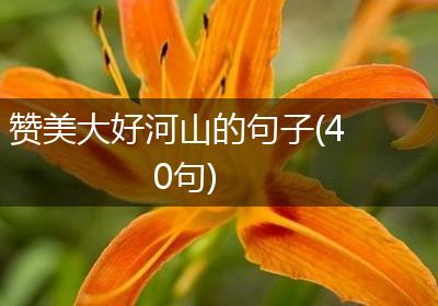 赞美大好河山的句子(40句)