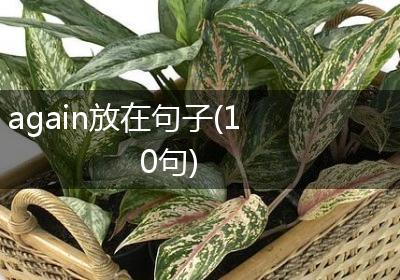 again放在句子(10句)