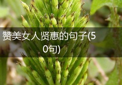 赞美女人贤惠的句子(50句)