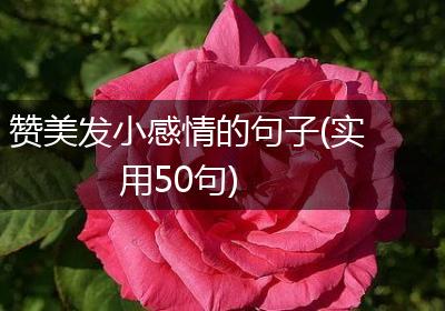 赞美发小感情的句子(实用50句)