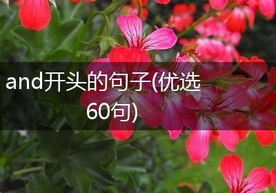 and开头的句子(优选60句)