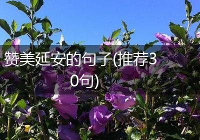 赞美延安的句子(推荐30句)