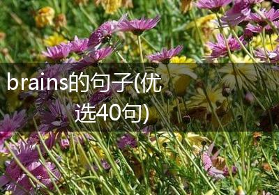 brains的句子(优选40句)