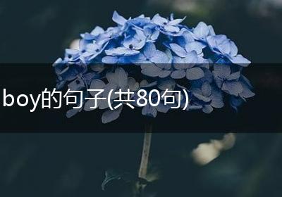 boy的句子(共80句)