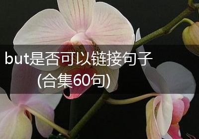 but是否可以链接句子(合集60句)