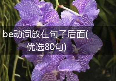 be动词放在句子后面(优选80句)