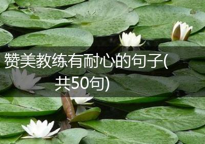 赞美教练有耐心的句子(共50句)