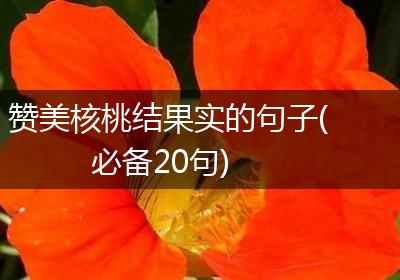 赞美核桃结果实的句子(必备20句)