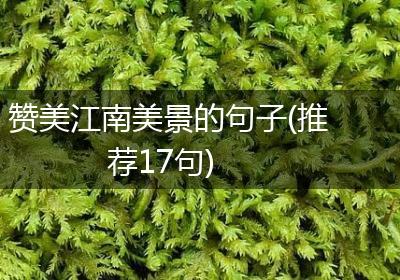 赞美江南美景的句子(推荐17句)
