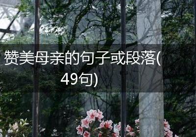 赞美母亲的句子或段落(49句)