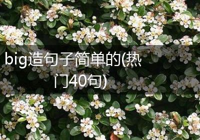 big造句子简单的(热门40句)